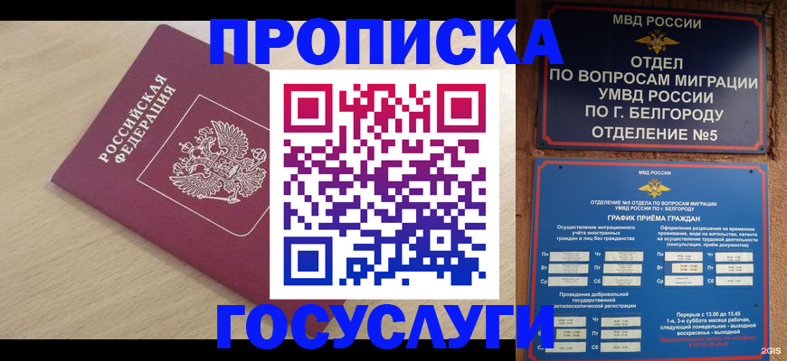 прописка законно в Гвардейске